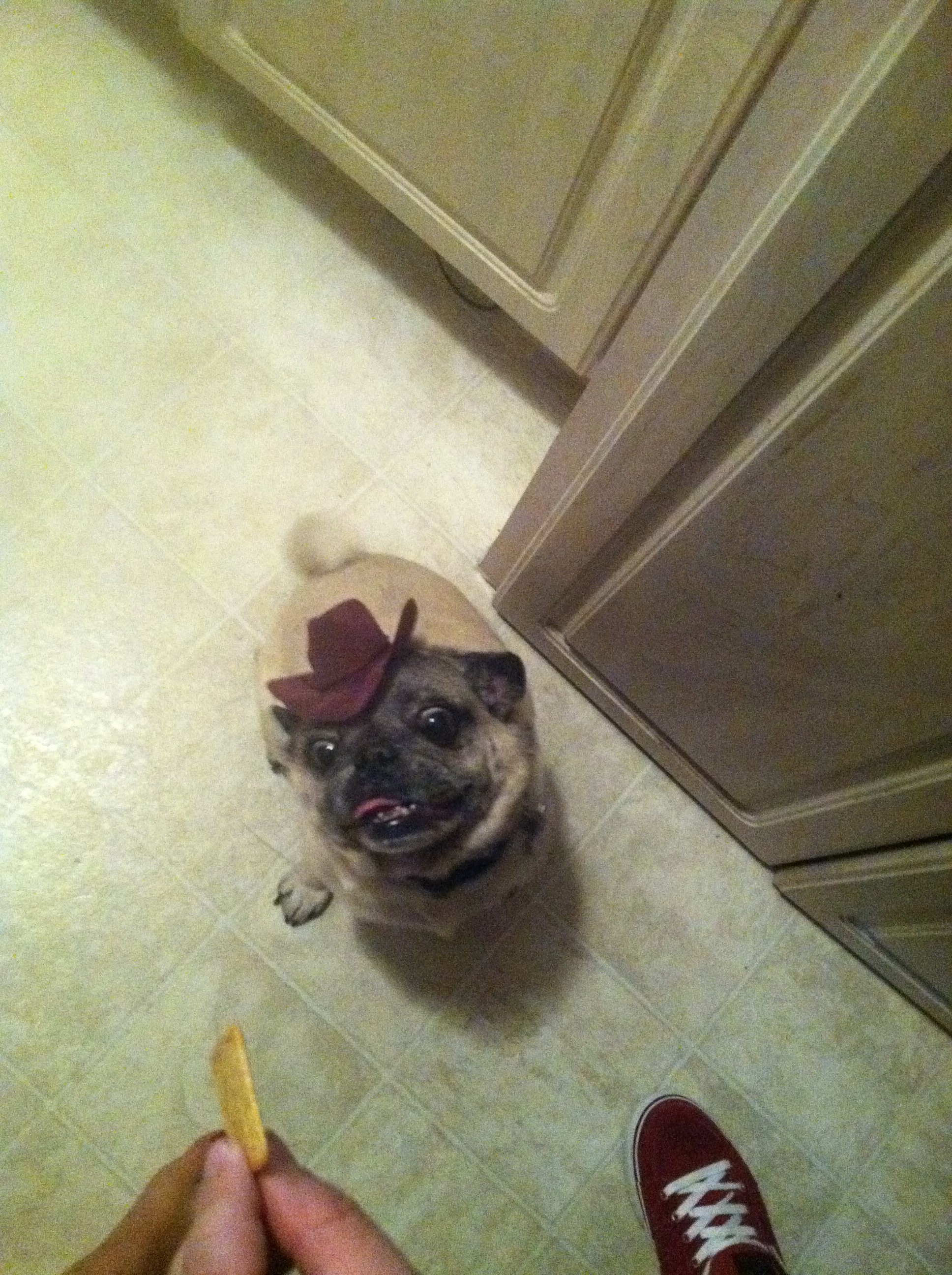 Navi da Boo Navi da Boo